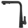 купить Смеситель кухонный Gessi 17177-299 Proton Matte Black в Кишинёве 