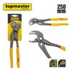 купить Ключ разводной Topmaster 210162 Clește cheie 250mm в Кишинёве 