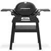 купить Мангал Weber Gratar pe gaz Q1200N Black + Comapct Stand в Кишинёве 