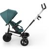 купить Велосипед-коляска KinderKraft Aston 2 Plus Green (KRASTO02GREPL00) в Кишинёве 