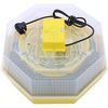 купить Товар для животных Technoworker Incubator electric CLEO 5 INC1 (84362100) в Кишинёве 