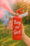 купить Декор Focteh Огнетушитель GENDER PARTY в Кишинёве 