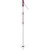 купить Лыжные палки Rossignol Electra Jr Pink 105 (RDJ6000) в Кишинёве 