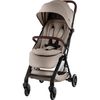 купить Детская коляска Britax-Römer Flylite Style Teak (2000041983) в Кишинёве 