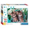 купить Пазл Clementoni Puzzle 60 Noli Lovely Kitty Twins (26599) в Кишинёве 