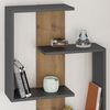 купить Полка декоративная Trendy Paranoid-antracit, stejar inchis 64x85x22cm (GTR005358) в Кишинёве 