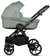 купить Детская коляска Tutis 2in1 LEO Sage (1222039) в Кишинёве 
