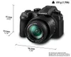 купить Фотоаппарат компактный Panasonic DC-FZ10002EE в Кишинёве 