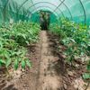 cumpără Umbră pentru grădină miscellaneous Pelicula pentru Sera 10x4x2.5m (MSD-026725) în Chișinău 