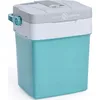 купить Холодильник портативный Peme Ice-on 32 Cool Mint в Кишинёве 