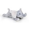 купить Ночной светильник Kaichi KAYPIL025KA315 Baby elephant, игрушка-проектор муз. в Кишинёве 