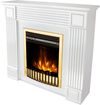 купить Камин электрический ArtFlame Nexor & Gala Gold, 950x1000x270mm, Alb в Кишинёве 