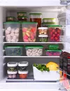 cumpără Container alimentare Ikea Pruta 17 штук Transparent/Green în Chișinău 