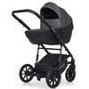 cumpără Сărucior pentru copii Riko Carucior 2in1 Basic Pacco 04 Carbon în Chișinău 