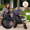 купить Детская коляска Lionelo Elia Beige Taupe в Кишинёве 