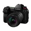 cumpără Aparat foto mirrorless Panasonic DC-S1KEE-K în Chișinău 