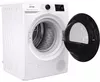 купить Сушильная машина Gorenje DPNE83/GNLWIFI в Кишинёве 
