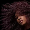 cumpără Accesoriu pentru uscător de păr Dyson HF 05 Dyson Chitosan Spray de coafare în Chișinău 