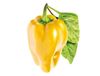 купить SMART HOME PEPPER REFILL SWEET 3PACK YPEP-REFILL-3 CLICK&GROW в Кишинёве 