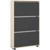 купить Полка для обуви Mobildor-Lux Leo Slim 50x16x125H cm Sonoma/Anthracite в Кишинёве 