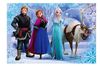 cumpără Puzzle Clementoni Puzzle 2x20 FROZEN (24825) în Chișinău 