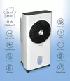 cumpără Răcitor de aer Aircooler TROTEC PAE 31 în Chișinău 