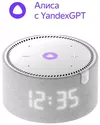 cumpără Boxă portativă Bluetooth Yandex YNDX-00020G Alisa Station Mini Gray în Chișinău 