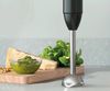 купить Блендер погружной Electrolux E3HB1-4GG в Кишинёве 