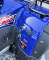 Бензиновый квадроцикл с прицепом Bashan 250CC, blue