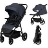 купить Детская коляска Lionelo Iva Grey Graphite в Кишинёве 