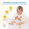 cumpără Puzzle Tooky Toy (55014) Set jucarii educative Alfabet BCTJ688 în Chișinău 