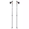 cumpără Bețe pentru trekking inSPORTline 13585 Baston treking IN20305 (2buc) 83-135cm Hallti în Chișinău 