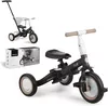 cumpără Bicicletă-cărucior Kikka Boo 31006020150 5in1 Flip Black în Chișinău 