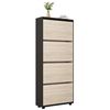 купить Полка для обуви Mobildor-Lux Leo Slim 50x16x164H cm Anthracite/Sonoma в Кишинёве 