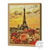 купить Картина по номерам Art Gallery QB204109 Mozaic cu diamante patrate 40x50cm Turnul Eiffel si flori в Кишинёве 