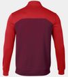 купить Одежда для спорта Joma Winner II Sweatshirt (XL) 102655.615 в Кишинёве 