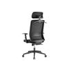 купить Кресло офисное Lumi Ergonomic Office Chair CH05-14, Black, Headrest, Breathable Mesh Back, Pneumatic Seat-Height Adjustment,  Nylon Base, Nylon Caster, 100mm Class 3 Gas Lift, Weight Capacity 150 Kg в Кишинёве 