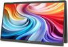 cumpără Monitor Acer PD163QT Dual Portable Touch Monitor Black în Chișinău 