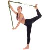 купить Эспандер miscellaneous 471 Banda expander stretching 12 bucle, 2.5x230 cm, nylon F040 в Кишинёве 