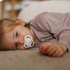 cumpără Suzetă BabyOno 1669/03 Suzete simetrice din silicon 18+ luni (2 buc) în Chișinău 