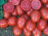 cumpără Heinz 1015 F1 - Seminţe hibrid de tomat - Heinz Seed în Chișinău 