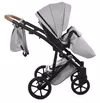 купить Детская коляска Junama Space Gray 2/1 01 в Кишинёве 