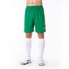 купить Одежда для спорта Joma Short Nobel Green (L) 100053.450 в Кишинёве 
