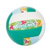 купить Мяч Toi-Toys 62234Z Minge de volei de plajă №5 Adrenix , 4 modele в Кишинёве 