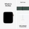 купить Смарт часы Apple Watch SE 2024 GPS 40mm Starlight Aluminium Case with Lake Green Sport Loop MXEH3 в Кишинёве 