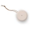 cumpără Boxă portativă Bluetooth Bang & Olufsen Beosound A1 2nd Gen Gold Tone în Chișinău 