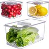 купить Контейнер для хранения пищи Vacane 6539 Pentru păstrare fructe/legume în frigider set 3buc в Кишинёве 