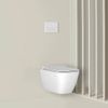 купить Унитаз Ideal Standard i.life B RimLS+ (T534701) в Кишинёве 
