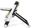 купить Стульчик для кормления Peg Perego Siesta Wonder Green в Кишинёве 