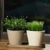 cumpără Ghiveci pentru flori Aleana 114036 Ibis cu fund dublu 17,9x14,7cm, cacao/white în Chișinău 